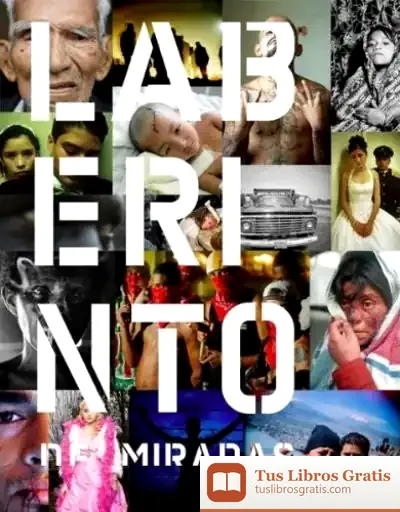 Descargar Laberinto De Miradas de S.l. Iberoamericana Editorial Vervuert