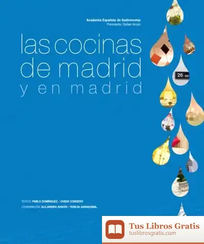 Descargar Las Cocinas De Madrid Y En Madrid de Lucía Montejo Gurruchaga
