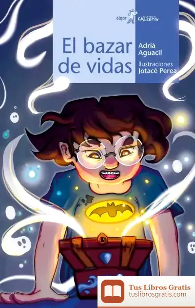 Descargar El Bazar De Vidas de Daniel Pennac