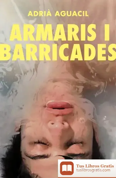 Descargar Armaris I Barricades