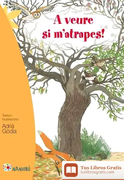 Descargar A Veure Si M'Atrapes! de Adrià Gòdia Moragues