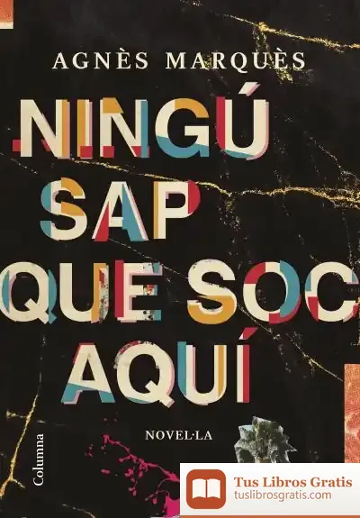 Descargar Ningú Sap Que Soc Aquí de Agnès Marquès