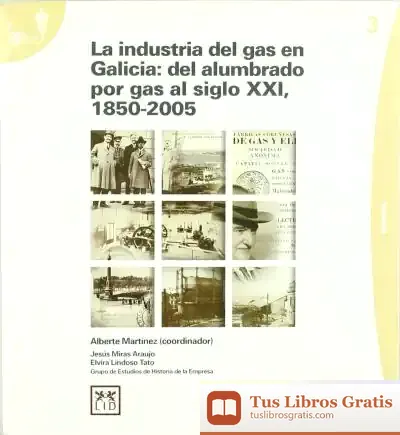 Descargar La Industria Del Gas En Galicia: Del Alumbrado Por Gas Al Siglo Xxi (1850-2005) de Demetrio E. Brisset Martín