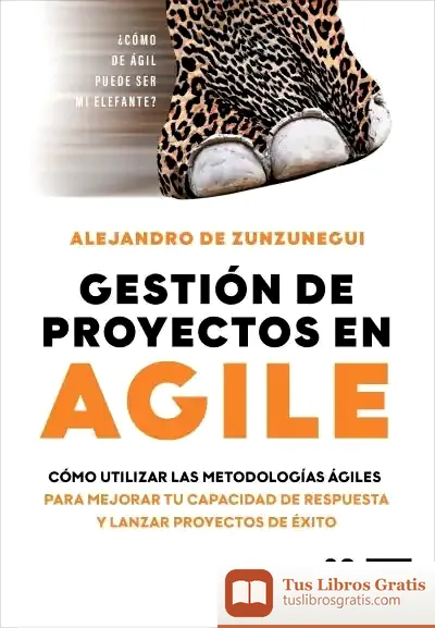 Descargar Gestión De Proyectos En Agile