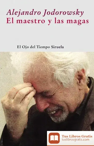 Descargar El Maestro Y Las Magas de Vicente Merlo Lillo