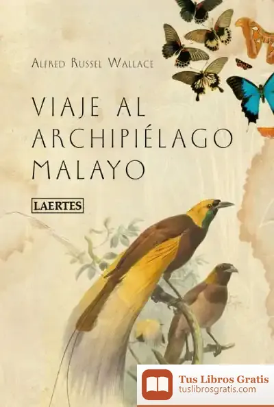 Descargar Viaje Al Archipiélago Malayo