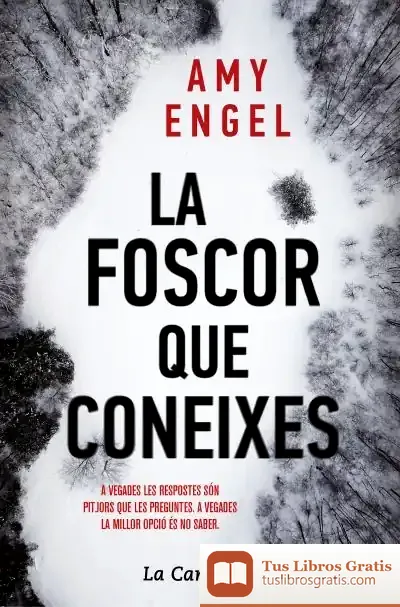 Descargar La Foscor Que Coneixes de Amy Engel