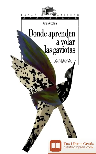 Descargar Donde Aprenden A Volar Las Gaviotas