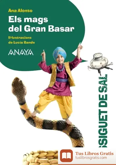 Descargar Els Mags Del Gran Basar