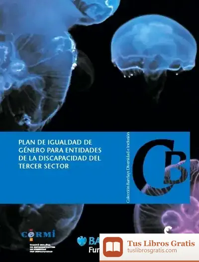 Descargar Plan De Igualdad De Género Para Entidades Del De La Discapacidad Del Tercer Sector