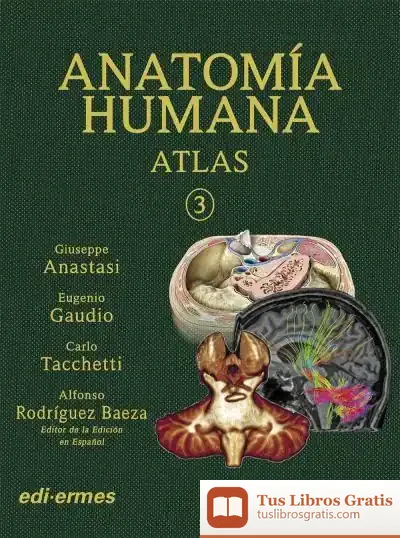 Descargar Vol. Ii. Anatomía Humana. Atlas Interactivo Multimedia, Segunda Edición