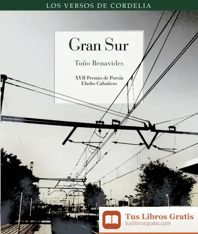 Descargar Gran Sur