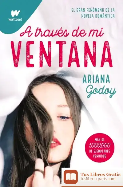 Descargar A Través De Mi Ventana (Trilogía Hermanos Hidalgo 1)