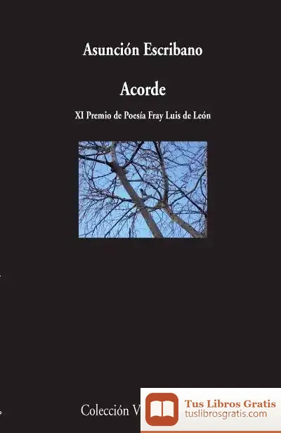 Descargar Acorde