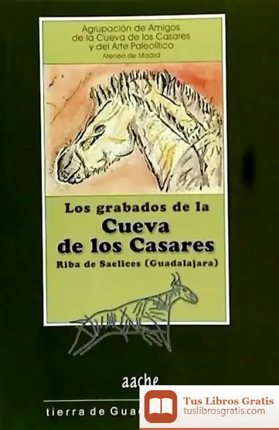 Descargar Grabados De La Cueva De Los Casares