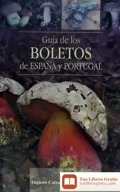 Descargar Guia De Los Boletos De Espa¥A Y Portugal de Asociación Española de Catequetas