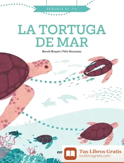 Descargar La Tortuga De Mar