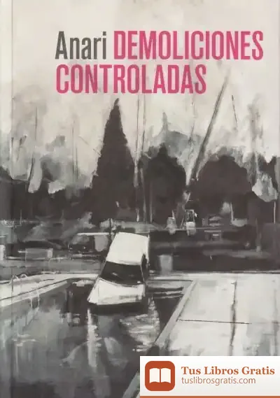 Descargar Demoliciones Controladas de Bernardo Atxaga