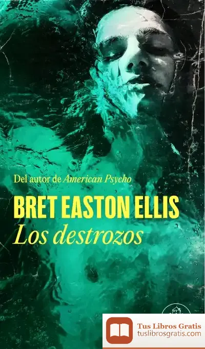Descargar Los Destrozos