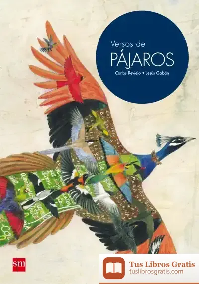 Descargar Versos De Pájaros