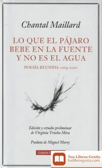 Descargar Lo Que El Pájaro Bebe En La Fuente Y No Es El Agua de Chantal Maillard