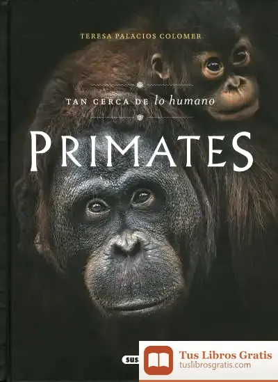 Descargar Primates. Tan Cerca De Lo Humano