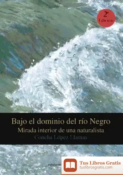 Descargar Bajo El Dominio Del Río Negro de Eva Aladro Vico