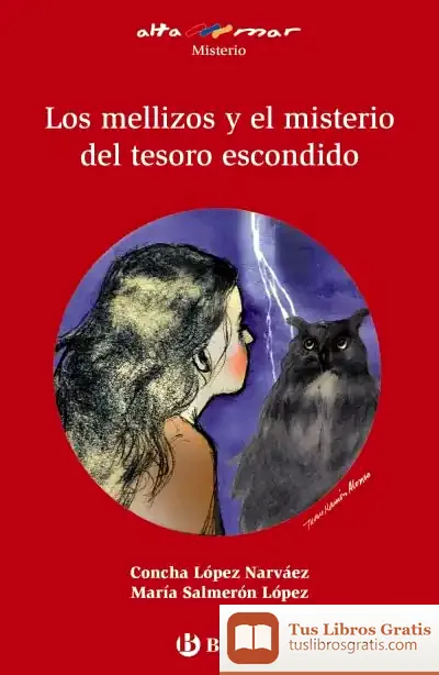 Descargar Los Mellizos Y El Misterio Del Tesoro Escondido de Concha López Narváez