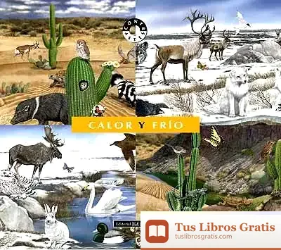 Descargar Calor Y Frio -Coleccion Contrastes de Cristiano Bertolucci