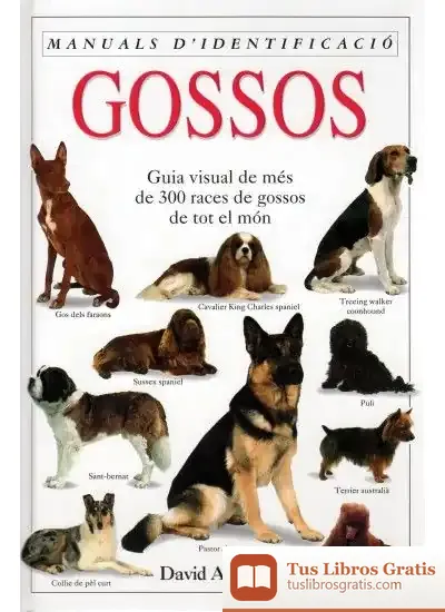 Descargar Gossos. Manual D'Identificacio