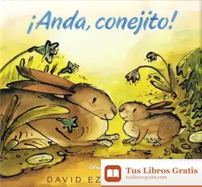 Descargar Anda, Conejito de David Ezra Stein