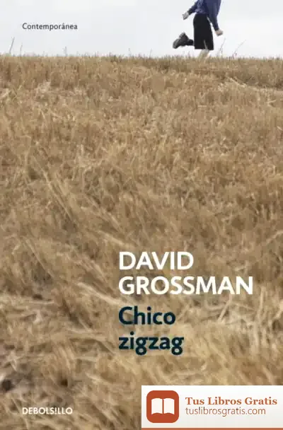Descargar Chico Zigzag de David Grossman