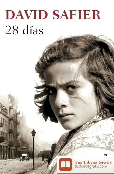 Descargar 28 Días de David Safier