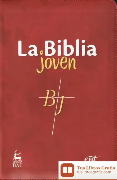 Descargar La Biblia Joven Simil Piel