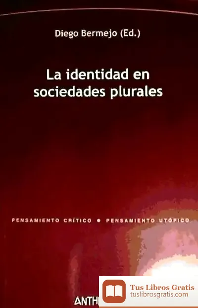 Descargar La Identidad En Sociedades Plurales de Varios Autores