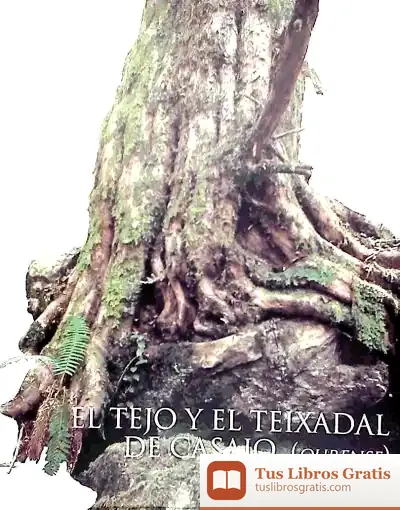 Descargar El Tejo Y El Teixadal De Casaio