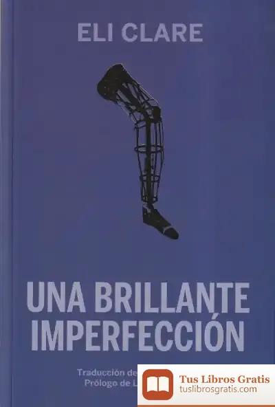 Descargar Una Brillante Imperfección
