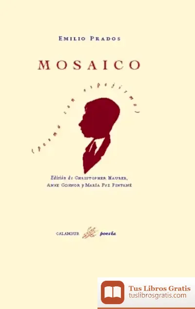Descargar Mosaico: Poema Con Espejismo