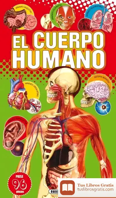 Descargar Libro Puzle Didáctico. El Cuerpo Humano de Martin Heidegger
