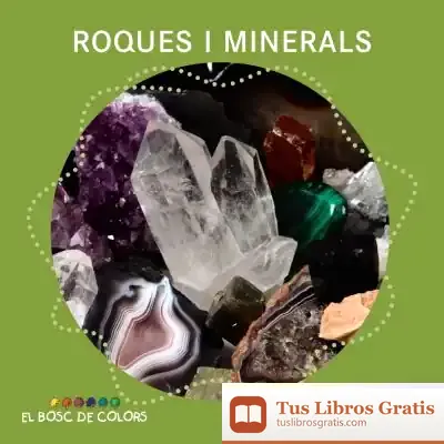 Descargar Roques I Minerals de Estel Baldó Caba