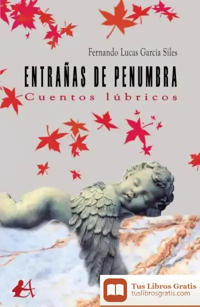 Descargar Entrañas De Penumbra: Cuentos Lúbricos de Fernando Lucas García Siles