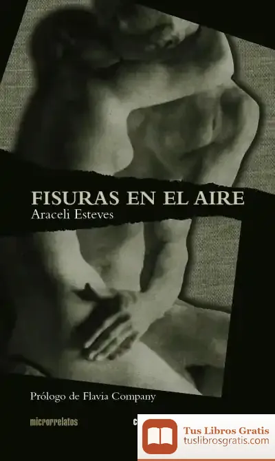 Descargar Fisuras En El Aire de Flavia Company