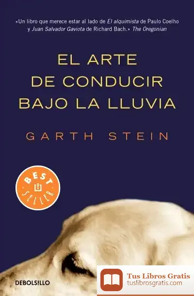 Descargar El Arte De Conducir Bajo La Lluvia