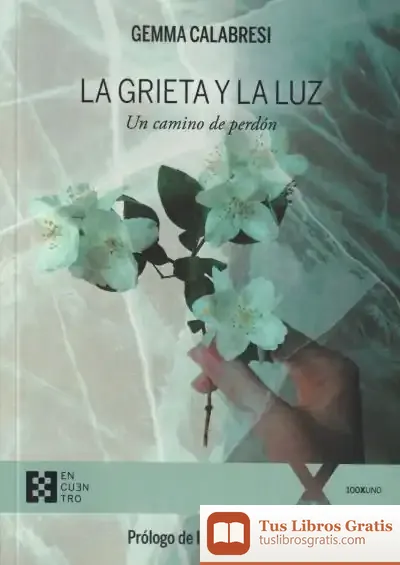 Descargar La Grieta Y La Luz: Un Camino De Perdón de Gemma Calabresi
