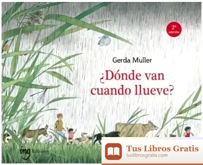 Descargar ¿Dónde Van Cuando Llueve? de Gerda Muller