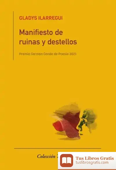 Descargar Manifiesto De Ruinas Y Destellos
