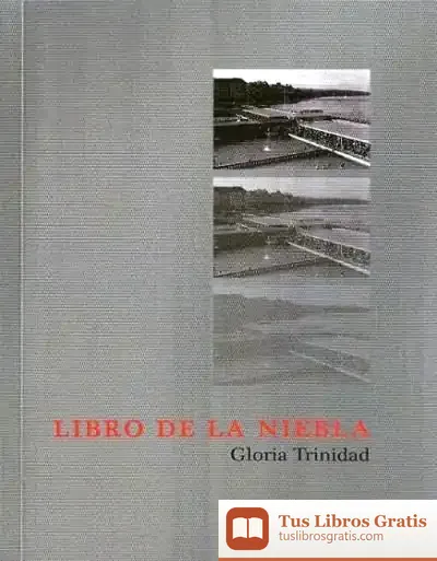 Descargar Libro De La Niebla