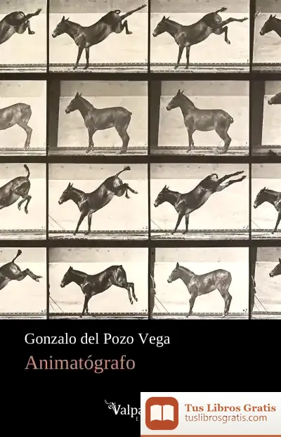 Descargar Animatógrafo