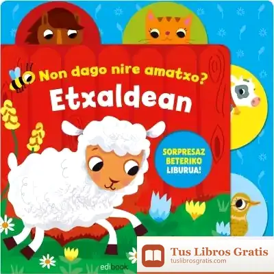 Descargar Non Dago Nire Amatxo ? Etxaldean de Igloo Books