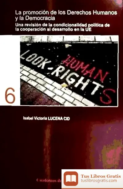 Descargar La Promoción De Los Derechos Humanos Y La Democracia. Una Revisión De La Condicionalidad Política De La Cooperación Al Desarrollo En La Ue de Roberto Villa García